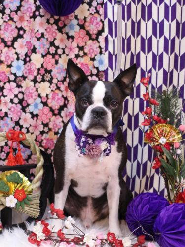 20250111ＡＤくん